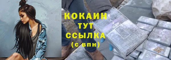 ГАЛЛЮЦИНОГЕННЫЕ ГРИБЫ Заполярный