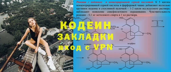 мяу мяу мука Пересвет