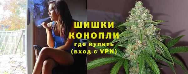 мяу мяу мука Пересвет