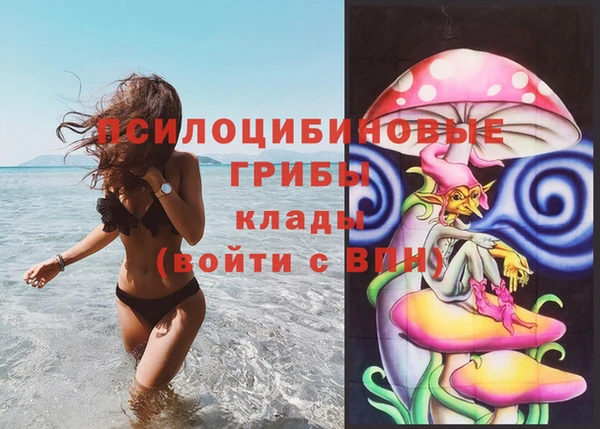 ECSTASY Няндома
