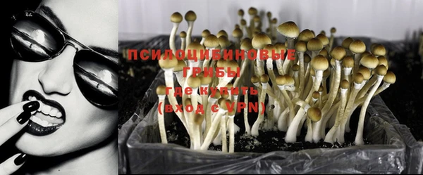 мескалин Осинники