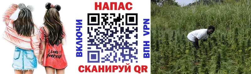 продажа наркотиков  Нижний Ломов  Канабис THC 21% 